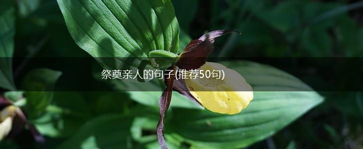 祭奠亲人的句子(推荐50句),第1张