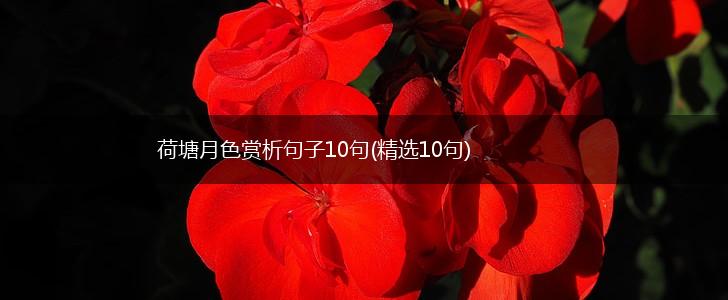 荷塘月色赏析句子10句(精选10句),第1张