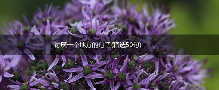 讨厌一个地方的句子(精选50句),第1张