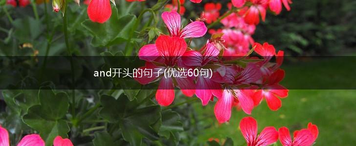 and开头的句子(优选60句),第1张