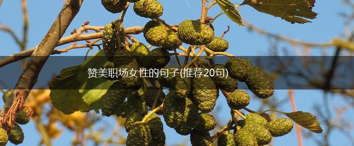 赞美职场女性的句子(推荐20句),第1张