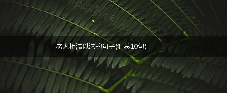 老人相濡以沫的句子(汇总10句),第1张