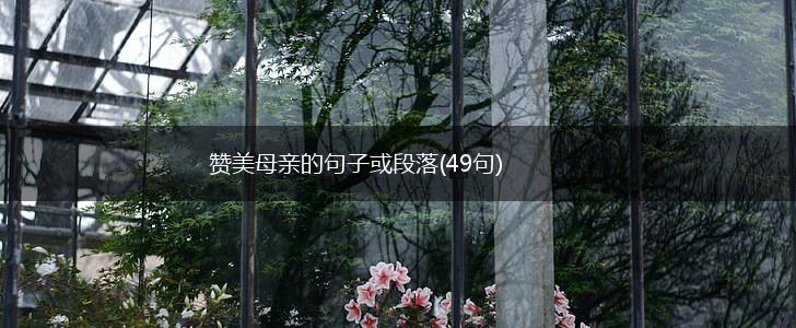 赞美母亲的句子或段落(49句),第1张