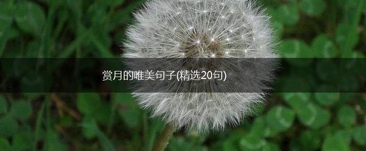 赏月的唯美句子(精选20句),第1张