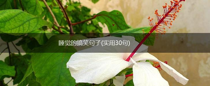 睡觉的搞笑句子(实用30句),第1张