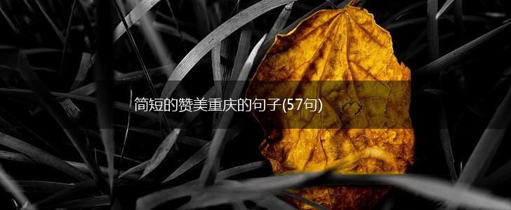 简短的赞美重庆的句子(57句),第1张