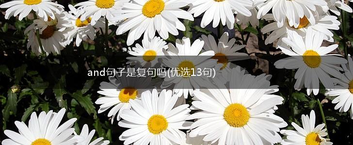and句子是复句吗(优选13句),第1张