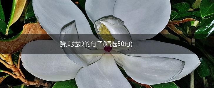 赞美姑娘的句子(精选50句),第1张