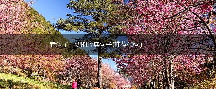 看淡了一切的经典句子(推荐40句),第1张