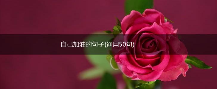 自己加油的句子(通用50句),第1张