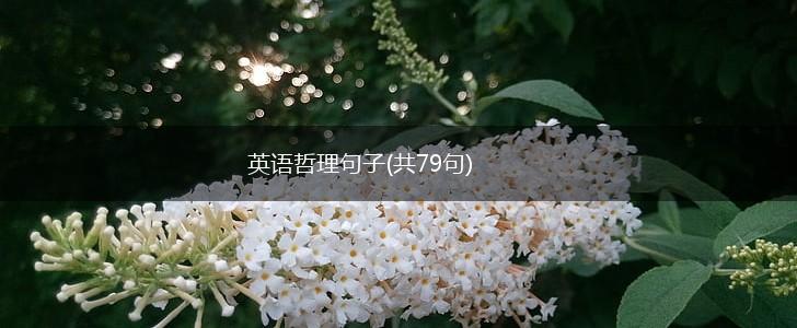 英语哲理句子(共79句),第1张