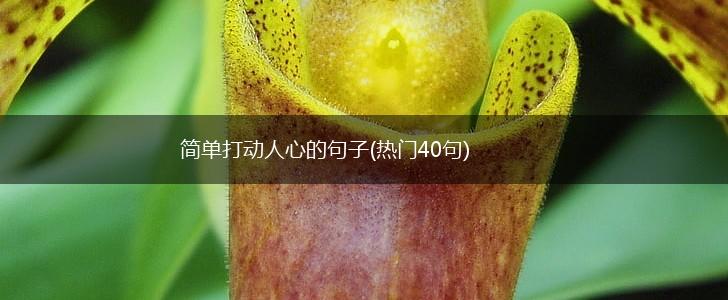 简单打动人心的句子(热门40句),第1张