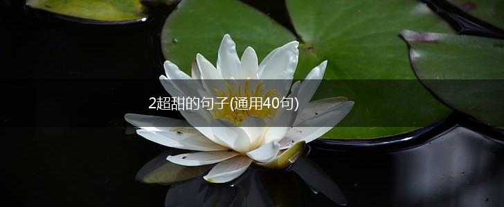 2超甜的句子(通用40句),第1张