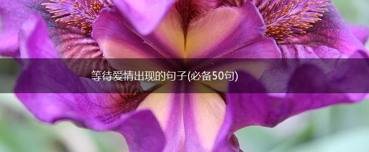 等待爱情出现的句子(必备50句),第1张