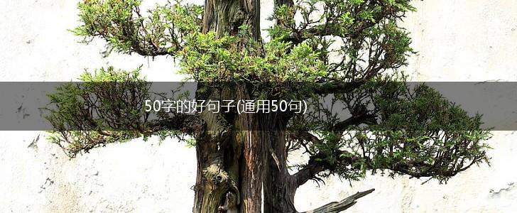 50字的好句子(通用50句),第1张