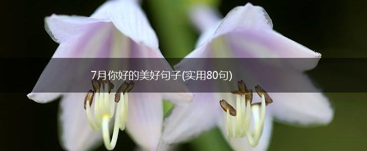 7月你好的美好句子(实用80句),第1张