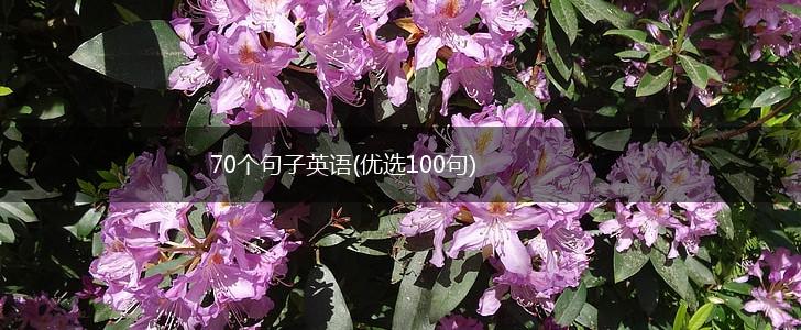 70个句子英语(优选100句),第1张