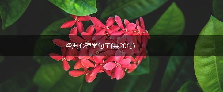 经典心理学句子(共20句),第1张