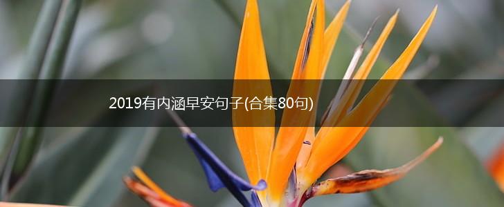 2019有内涵早安句子(合集80句),第1张