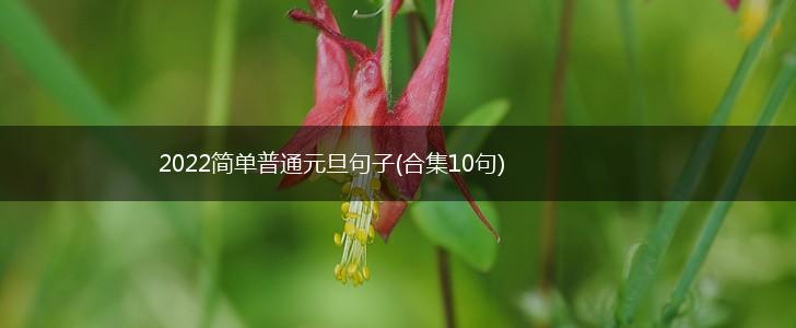 2022简单普通元旦句子(合集10句),第1张