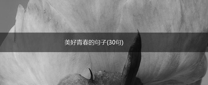 美好青春的句子(30句),第1张
