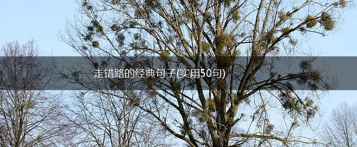 走错路的经典句子(实用50句),第1张