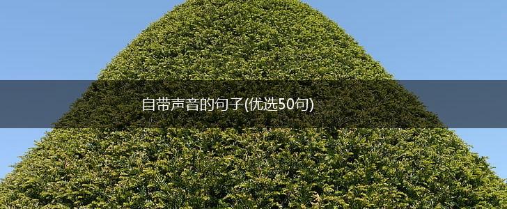 自带声音的句子(优选50句),第1张