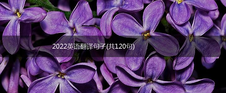 2022英语翻译句子(共120句),第1张