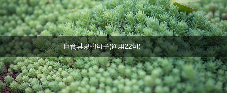 自食其果的句子(通用22句),第1张