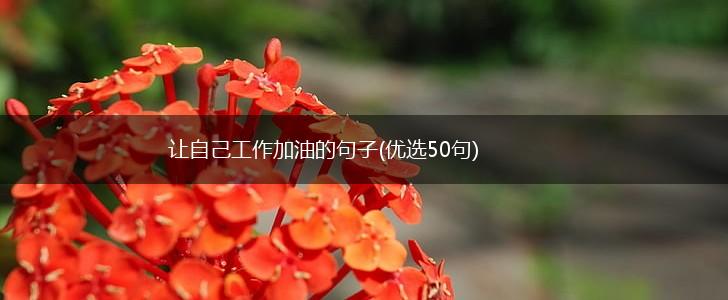 让自己工作加油的句子(优选50句),第1张