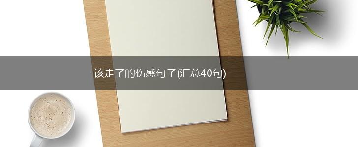 该走了的伤感句子(汇总40句),第1张