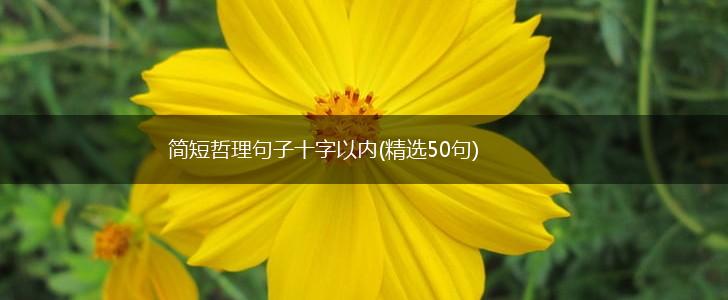 简短哲理句子十字以内(精选50句),第1张