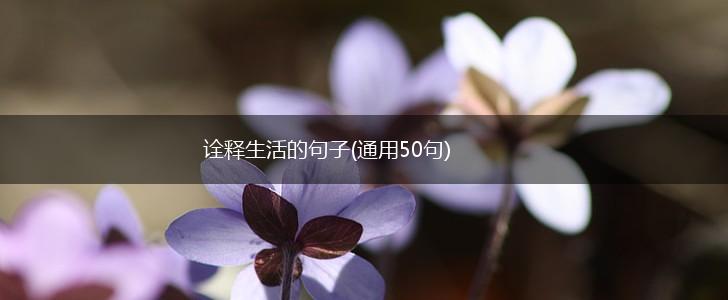 诠释生活的句子(通用50句),第1张
