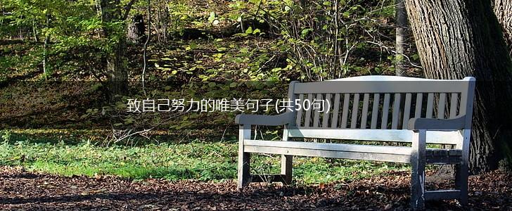 致自己努力的唯美句子(共50句),第1张