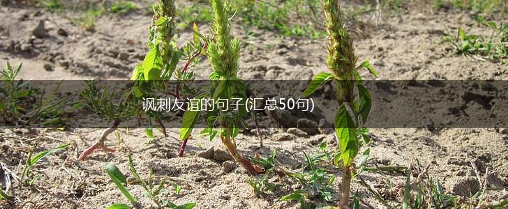 讽刺友谊的句子(汇总50句),第1张