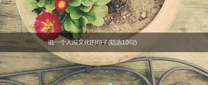说一个人没文化的句子(精选10句),第1张