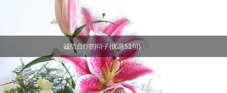 诚信合作的句子(优选51句),第1张