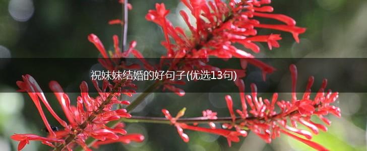 祝妹妹结婚的好句子(优选13句),第1张