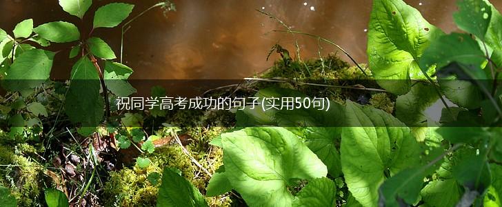 祝同学高考成功的句子(实用50句),第1张