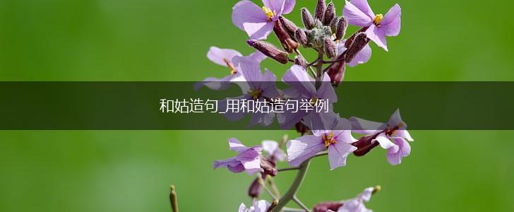 和姑造句_用和姑造句举例,第1张