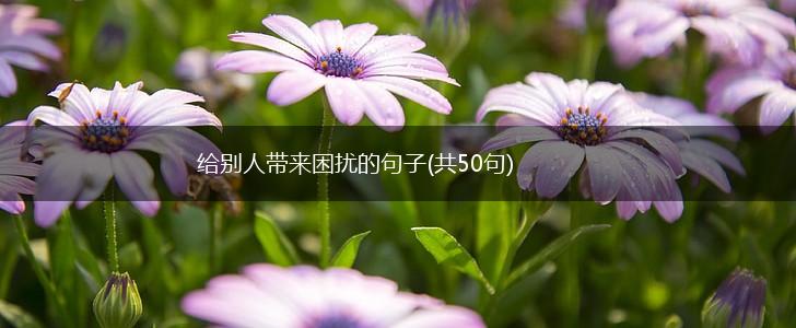 给别人带来困扰的句子(共50句),第1张