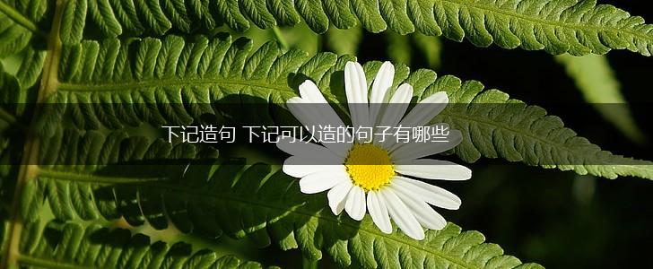 下记造句 下记可以造的句子有哪些,第1张