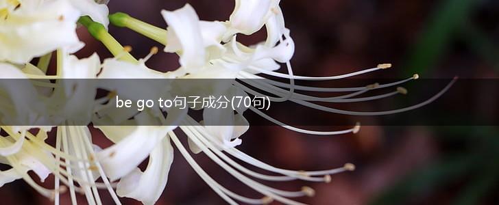 be go to句子成分(70句),第1张