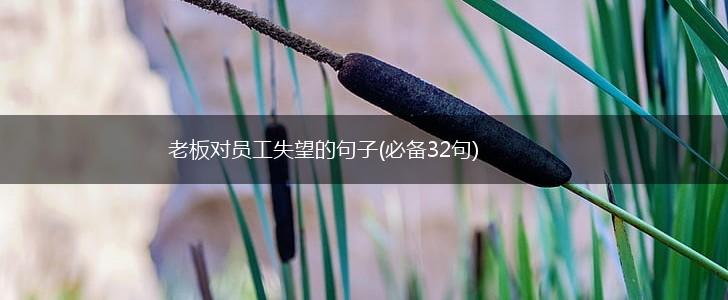 老板对员工失望的句子(必备32句),第1张