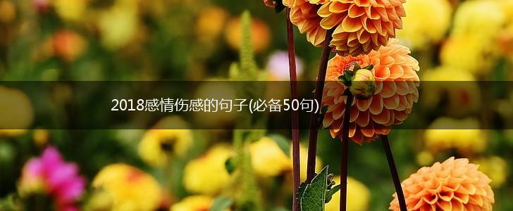 2018感情伤感的句子(必备50句),第1张