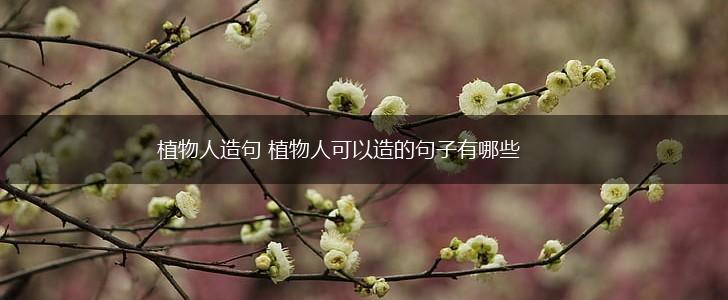 植物人造句 植物人可以造的句子有哪些,第1张