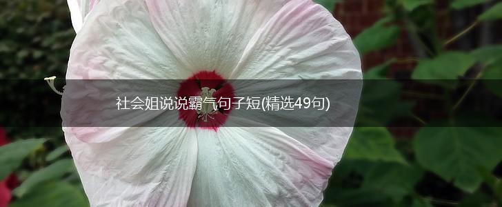 社会姐说说霸气句子短(精选49句),第1张