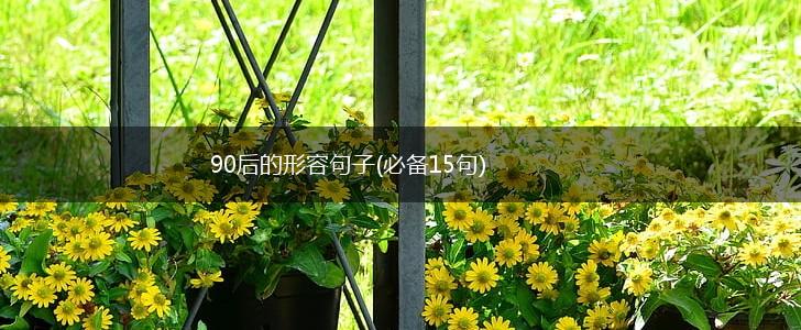 90后的形容句子(必备15句),第1张