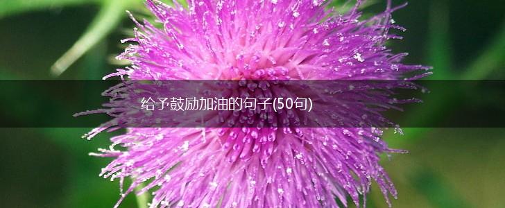 给予鼓励加油的句子(50句),第1张