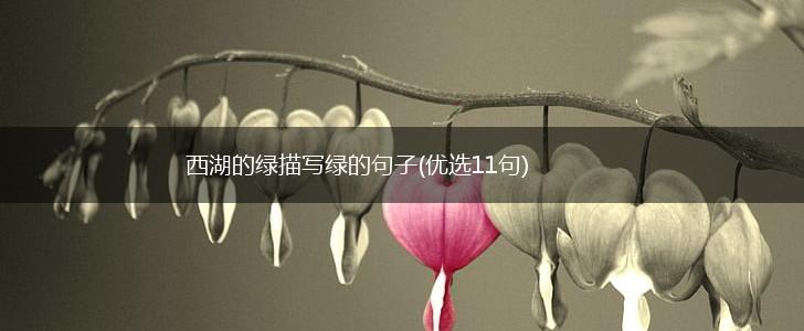 西湖的绿描写绿的句子(优选11句),第1张